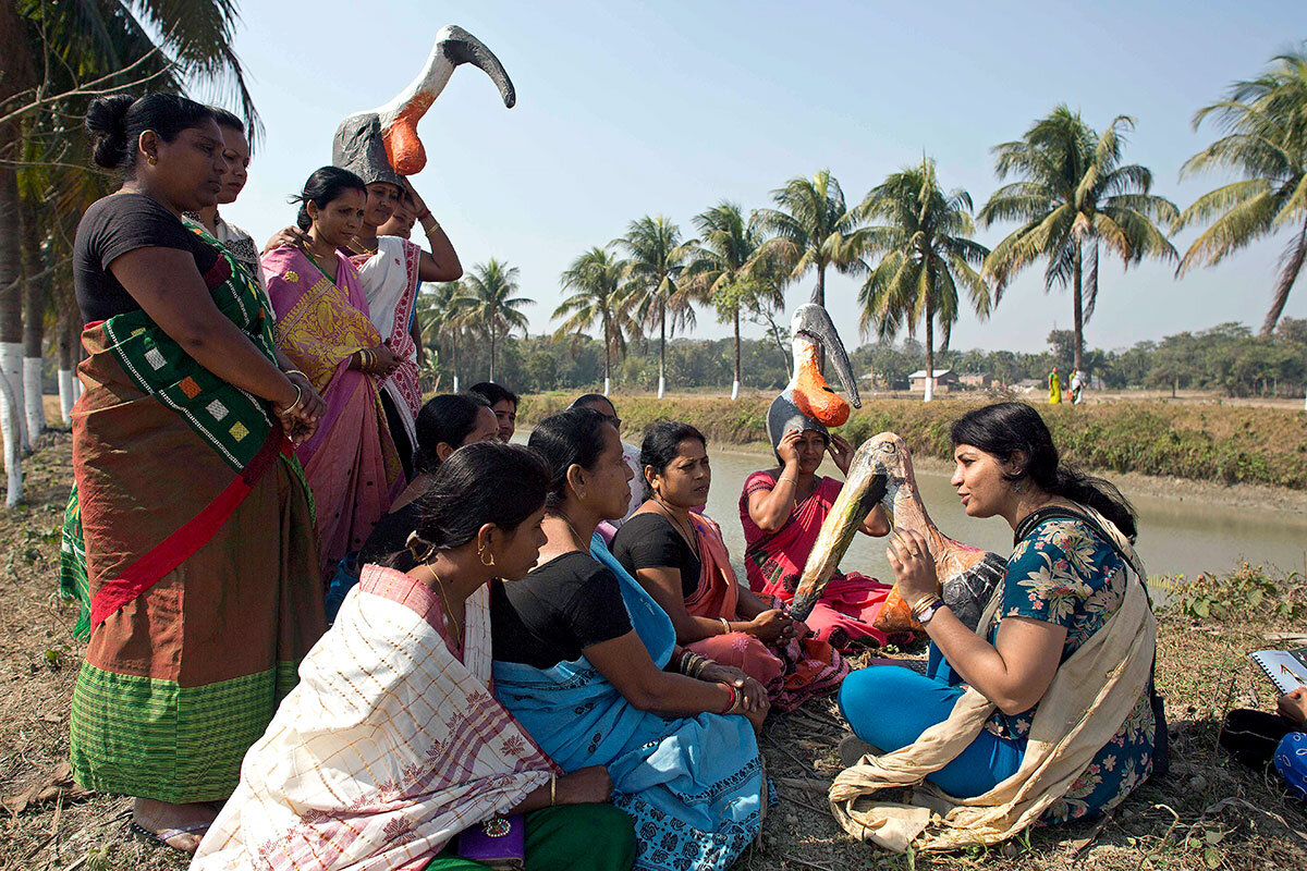 Saving India's storks: How smelly pests became a point of pride